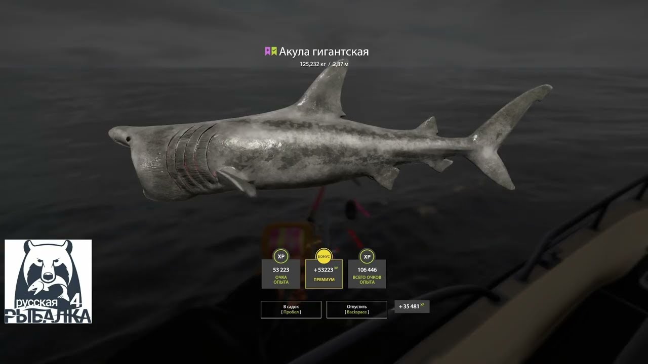 Норвежское море 10 часов.