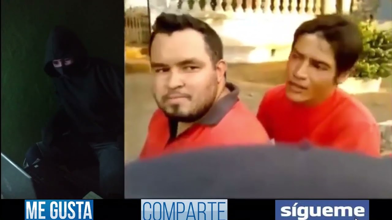 Viendo Zorro Ñaro 11