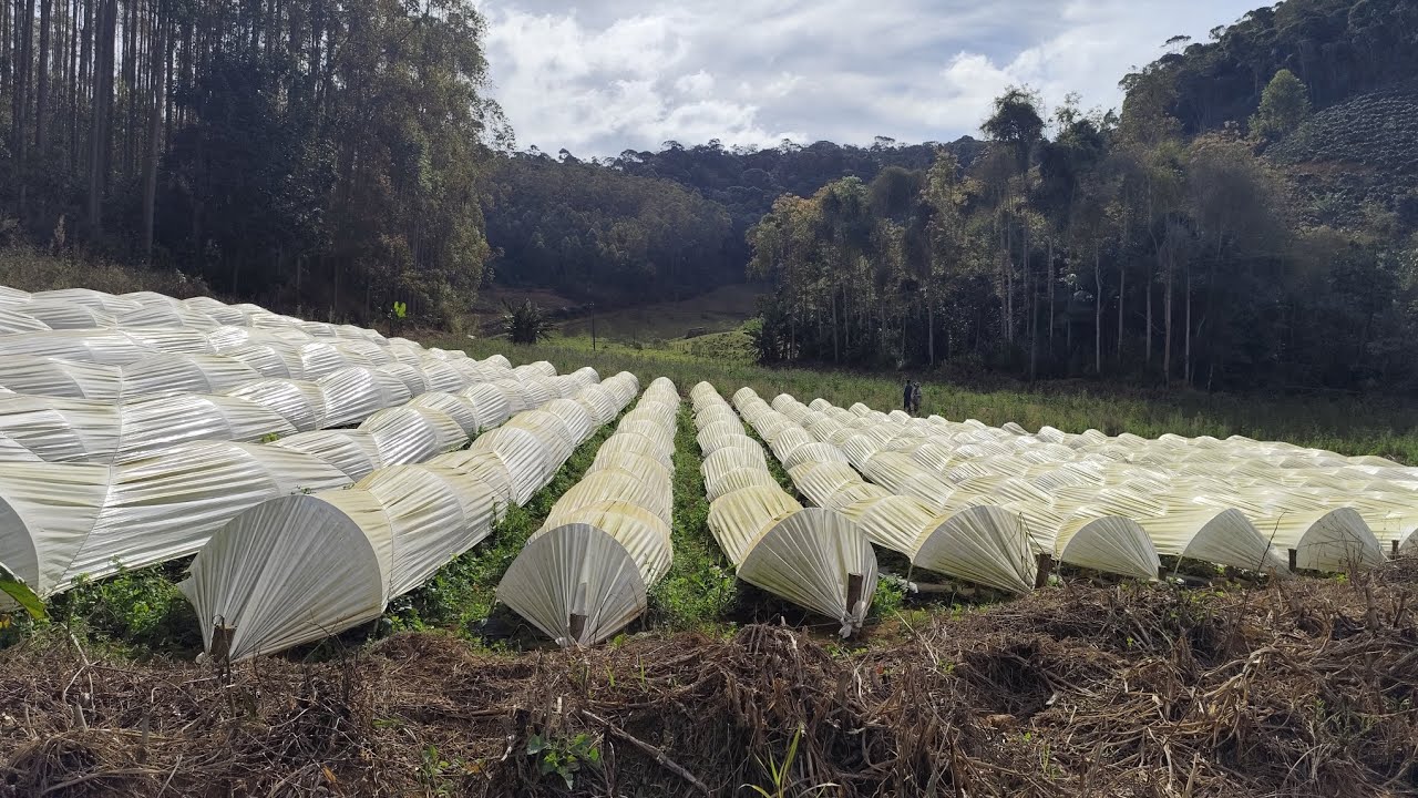 Sítio a venda no espírito santo Es 13.Hequitares ponto seis, 