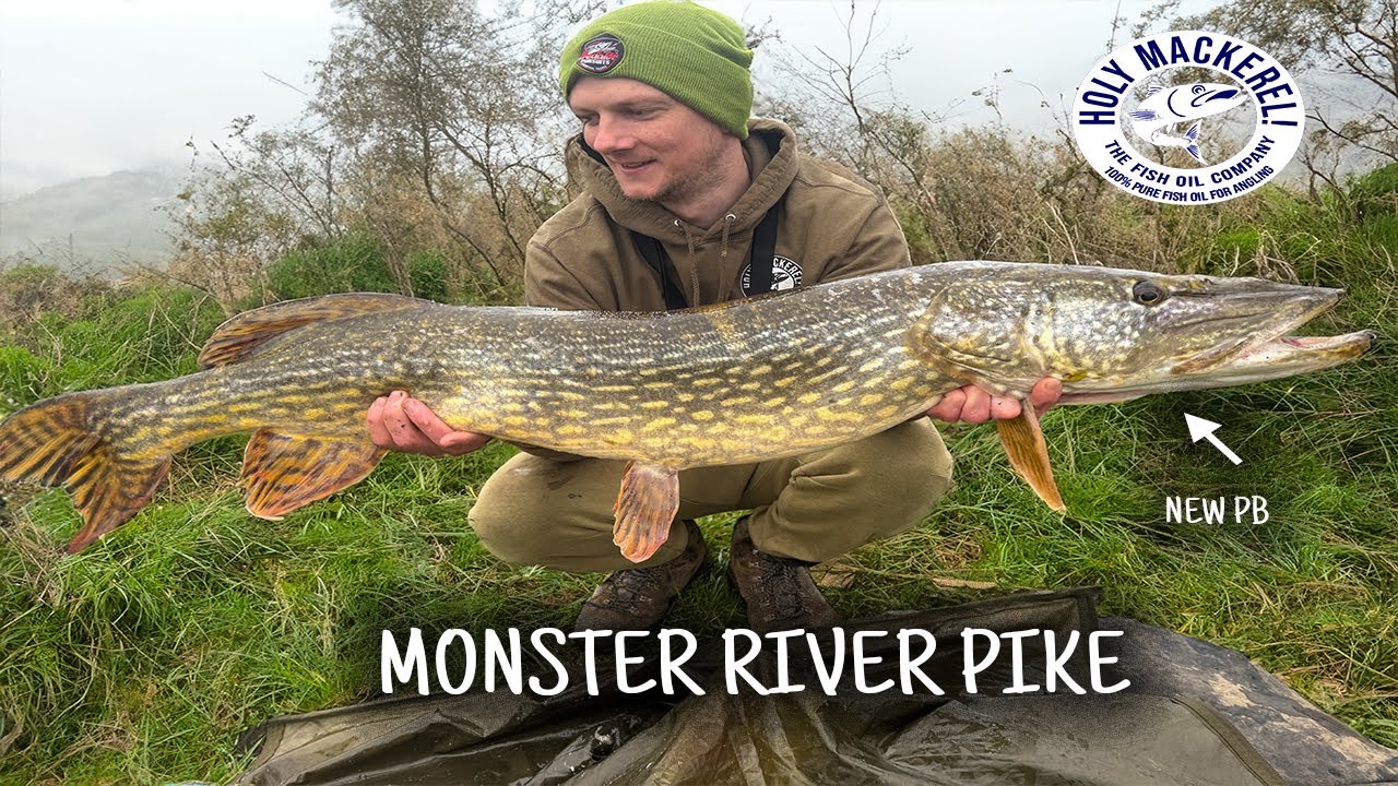 MONSTER River Pike || NEW PB || Pike Fishing