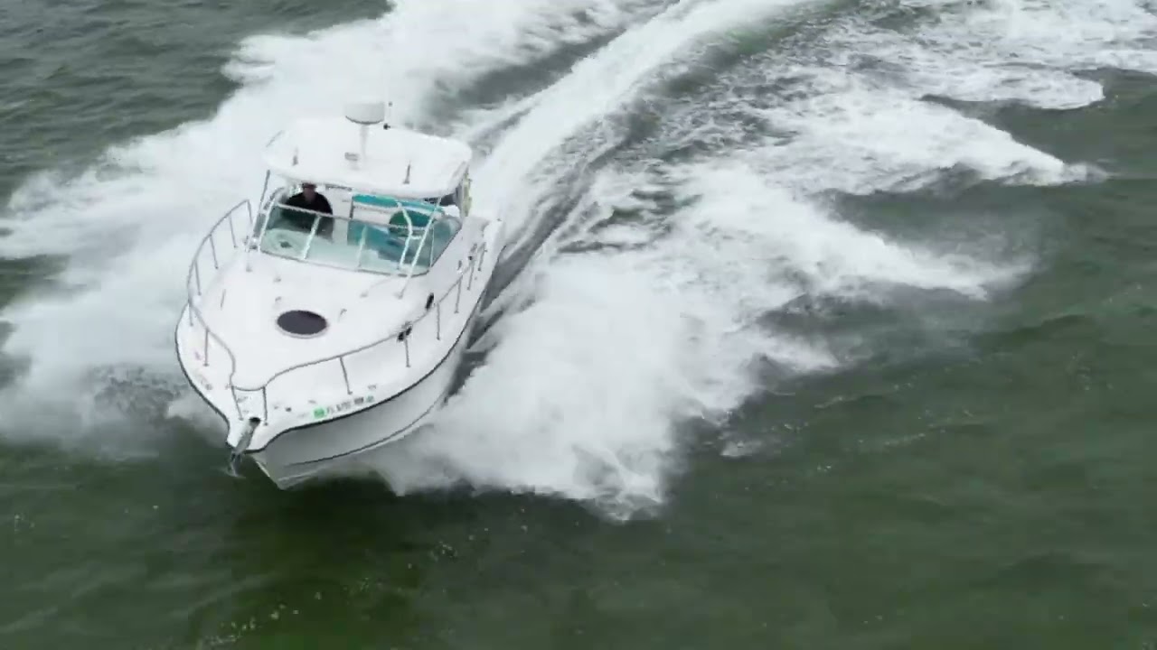 🚤 Seaswirl Striper 2901 - Unleash Your Adventure! | Boat Trader Preview 🌊