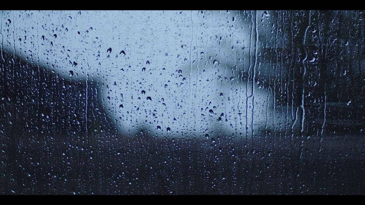 Rain Sounds for Sleeping | 10 Hours of Steady Rain Ambience (No Music)