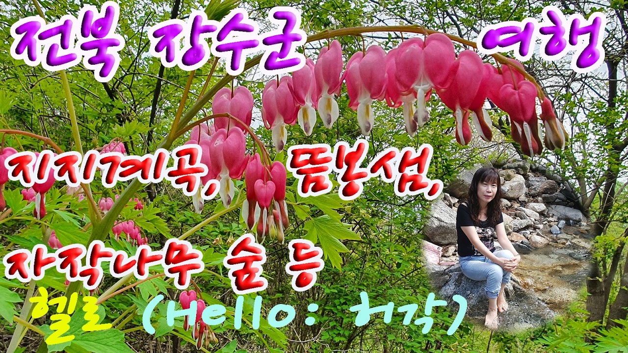전북 장수군 여행- 지지계곡, 뜸봉샘, 신무산 자작나무 숲／헬로 (Hello: 허각 노래)