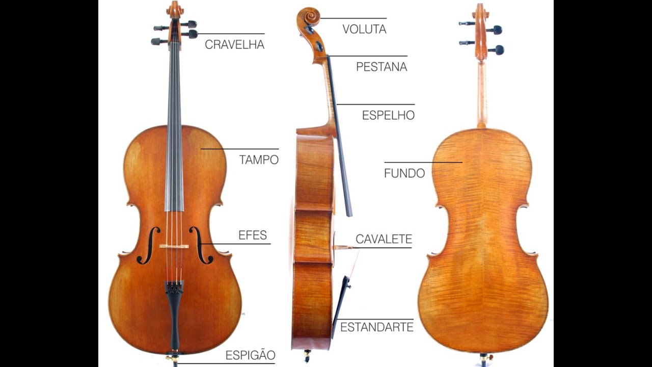 Curso de Violoncelo e de Teoria Musical - Apresenta&ccedil;&atilde;o do Violoncelo e do Arco