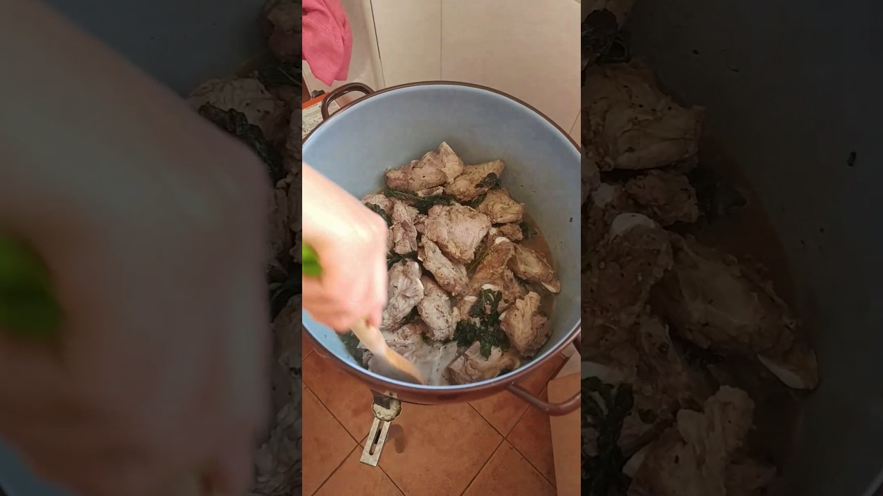 Asau Colorau Vallegrandino