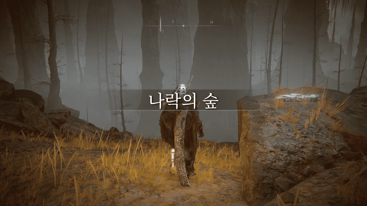 지옥 리포터 출격 - 엘든링 dlc 나락의 숲 오픈