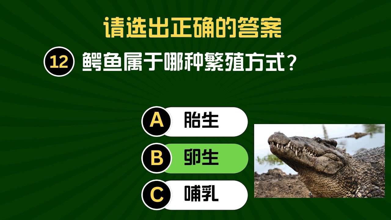 小学二年级科学| 动物的繁殖方式—胎生和卵生🐶🐢 | 30题KSSR 科学趣味测验