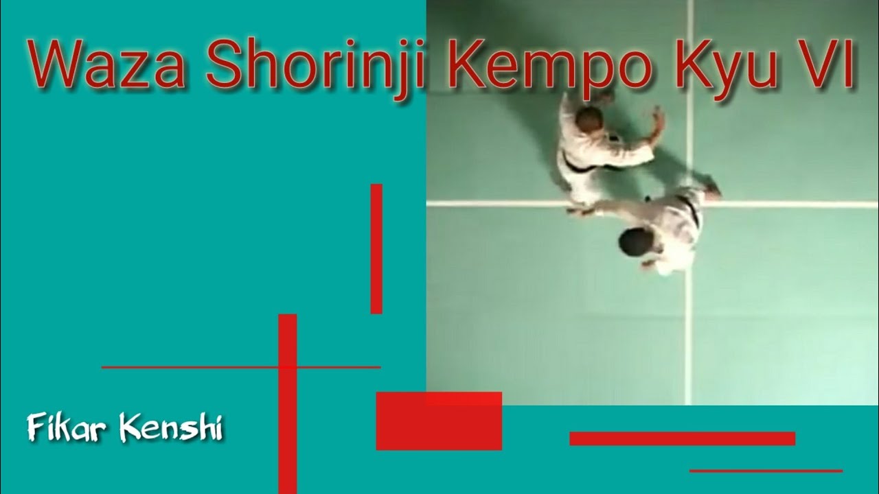 Shorinji Kempo Waza ( Technique )  Kyu VI