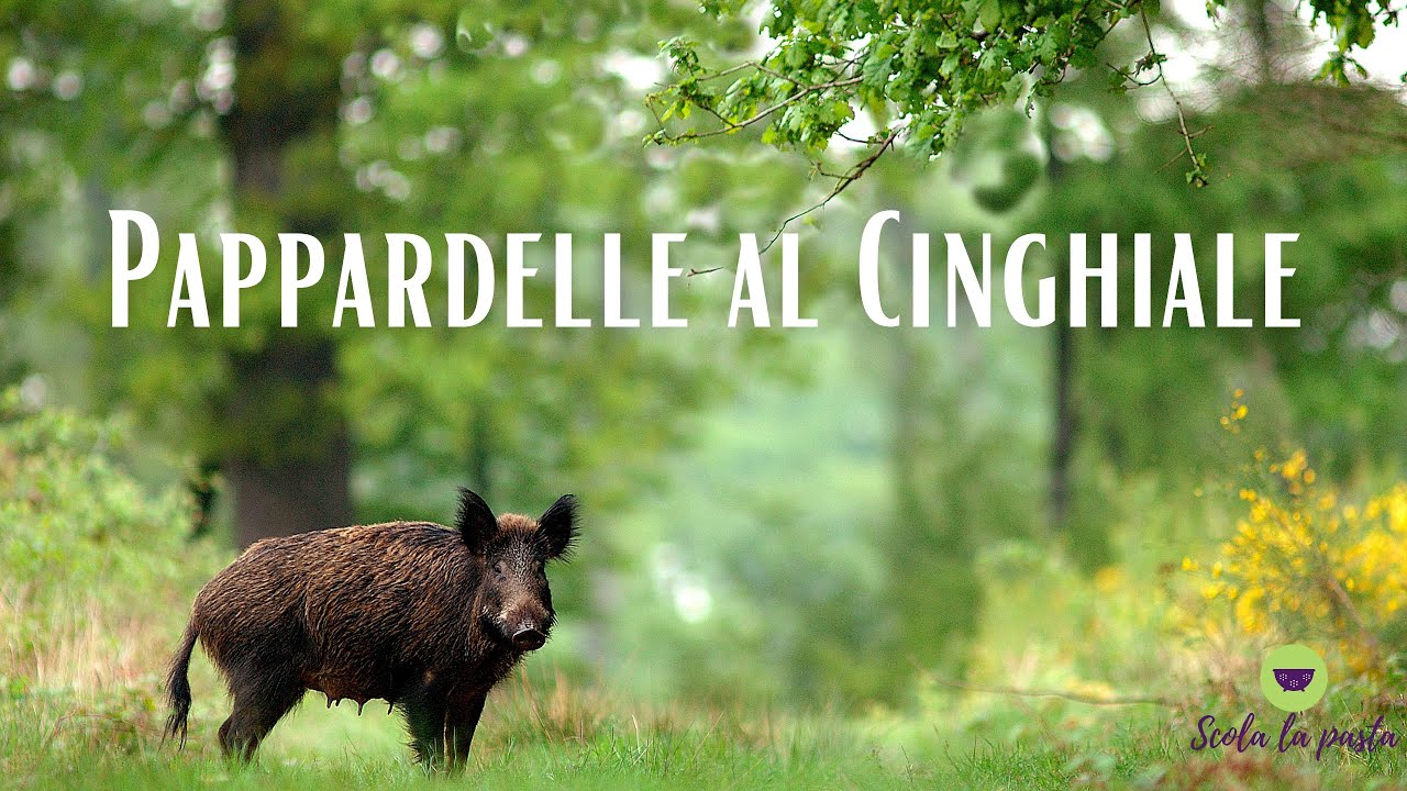 Pappardelle al Cinghiale