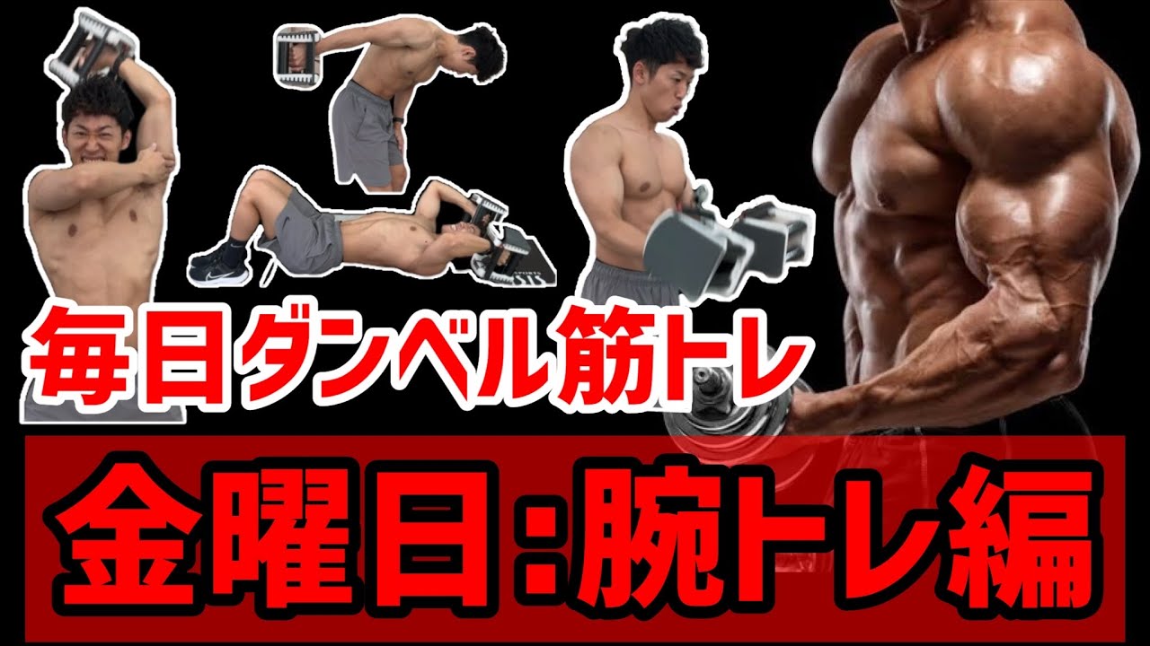 【毎日ダンベルで筋トレ⑤】金曜日:腕トレーニング編