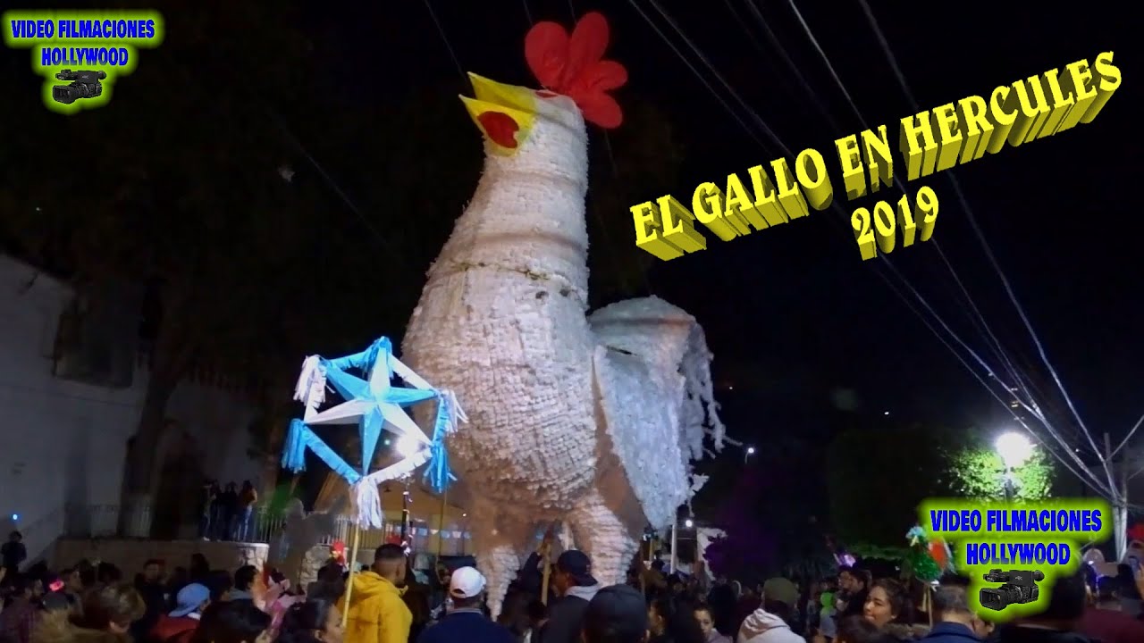 EL GALLO EN HERCULES 2019