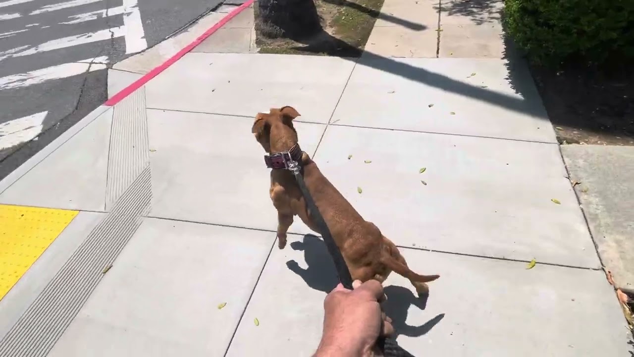 Some traits never go away in the APBT