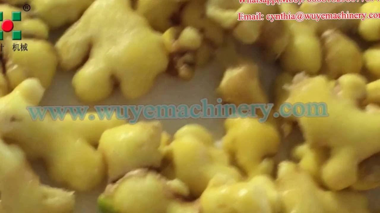 Ginger Processing Machine/Ginger Dryer/Dehydration Machine