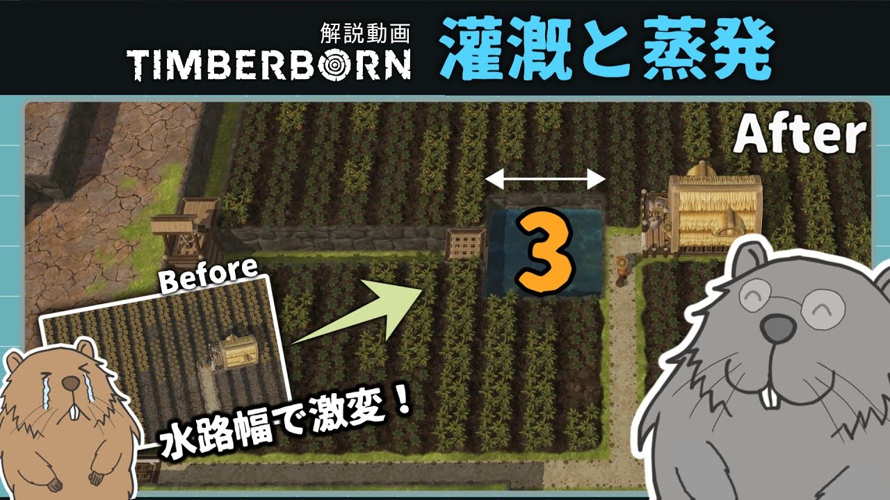 水路の幅でここまで変わる！ビーバー村の水管理術【Timberborn】