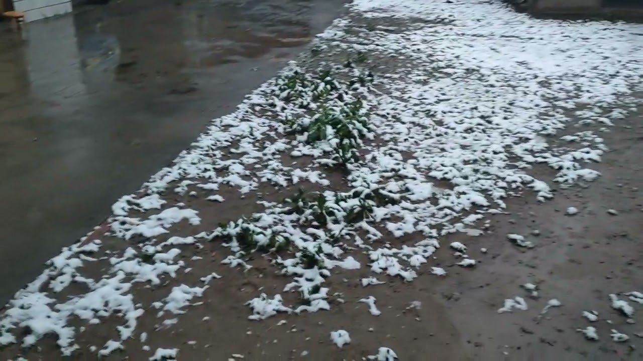 It rained for two days, and then it snowed. It's a bad weather