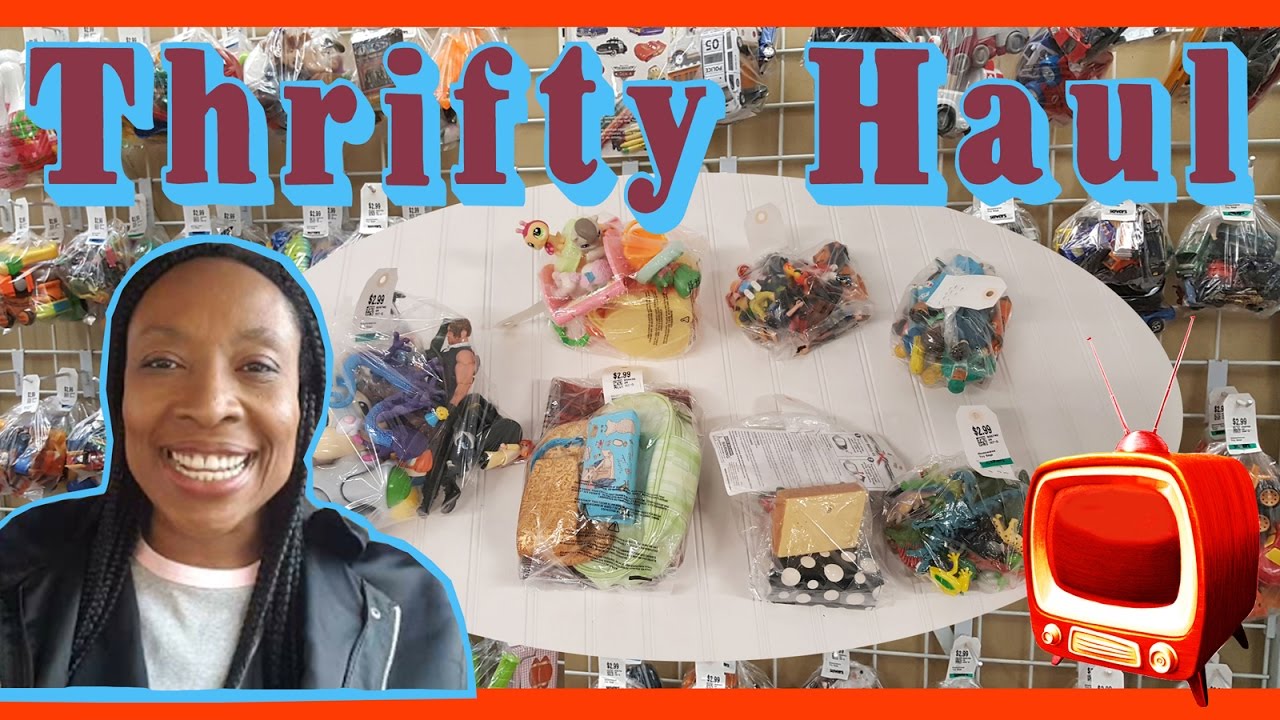 THRIFT SHOP HAUL - Vintage Education dolls, Lots of Playmobile Characters