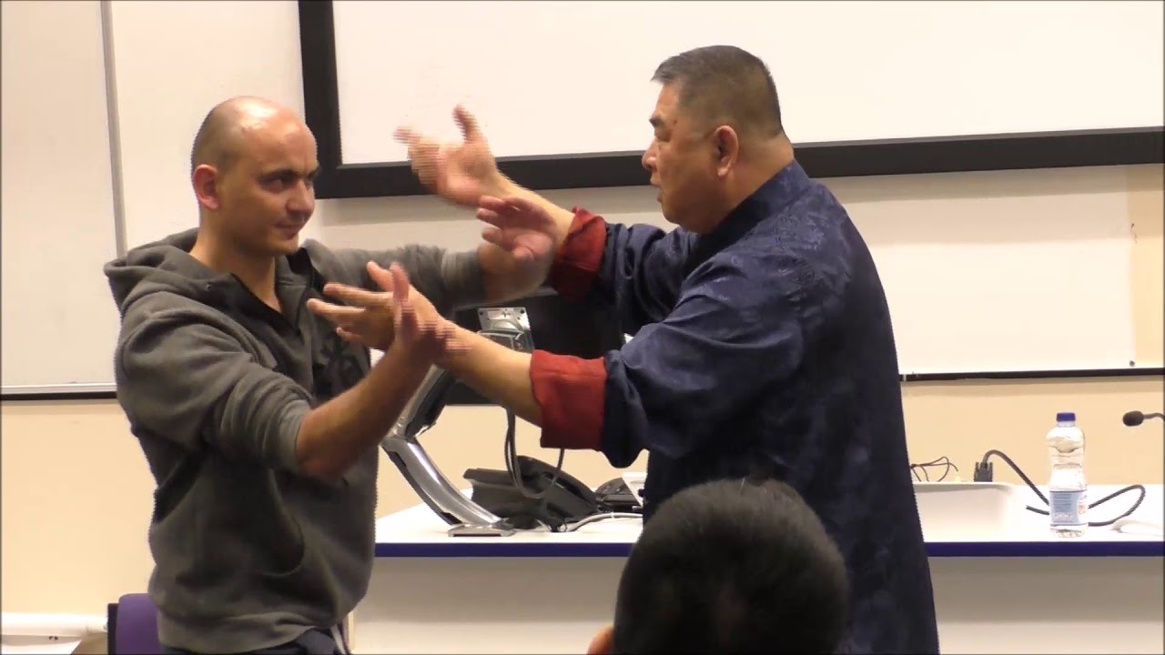 Deep Internal Kungfu of GM Sam Chin - Hatfield University Lecture (Flying Monk Ep. 25)