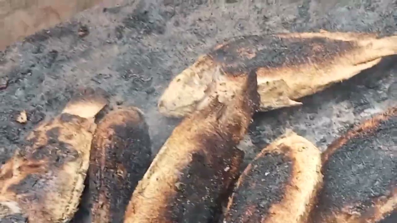 الرزق يحب الخفيه 🥰
