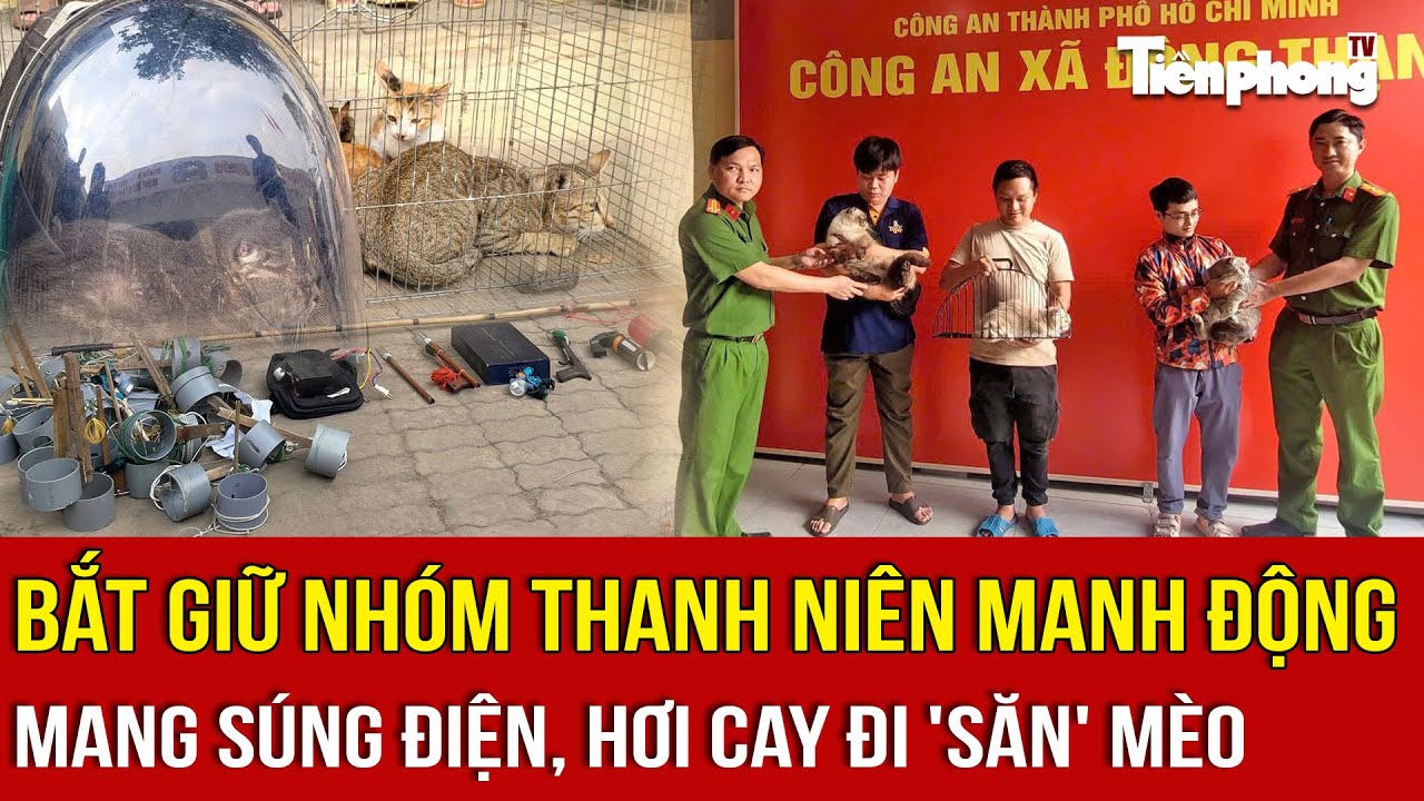 Bắt giữ nhóm thanh niên manh động mang súng điện, hơi cay đi 'săn' mèo