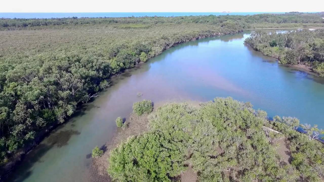 Moonee Beach up the river