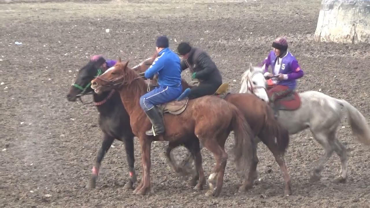 Улак. 84-Ысык-Кол ынтымагы #horse #кокбору #лошади #улак #1984 #иссыккуль #sports