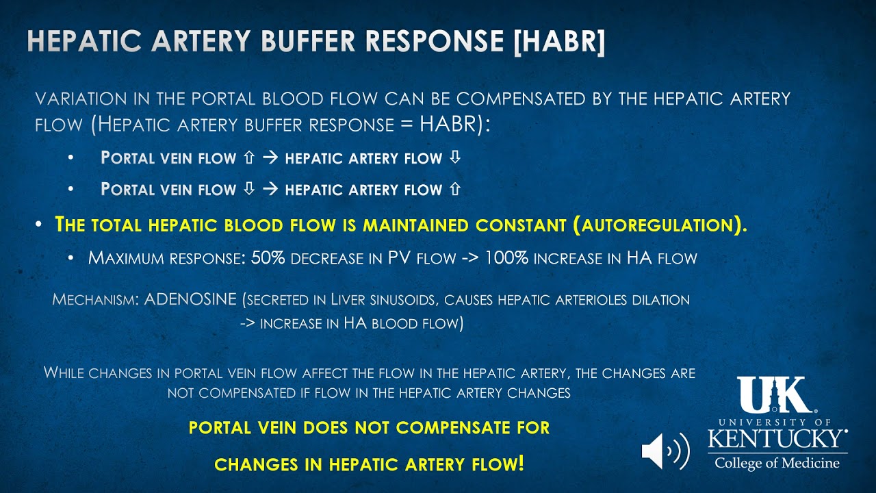 Hepatology Anesthesia Keyword Review - (Dr. Rebel)