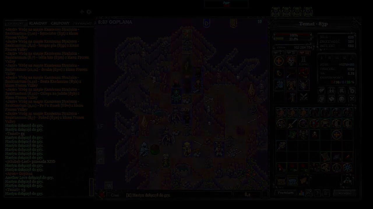 MARGONEM AETHER USTAWKA NA GOPLANA E2!