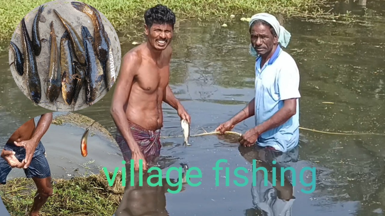fishing video | মাছ ধরার ভিডিও | amazing fishing video