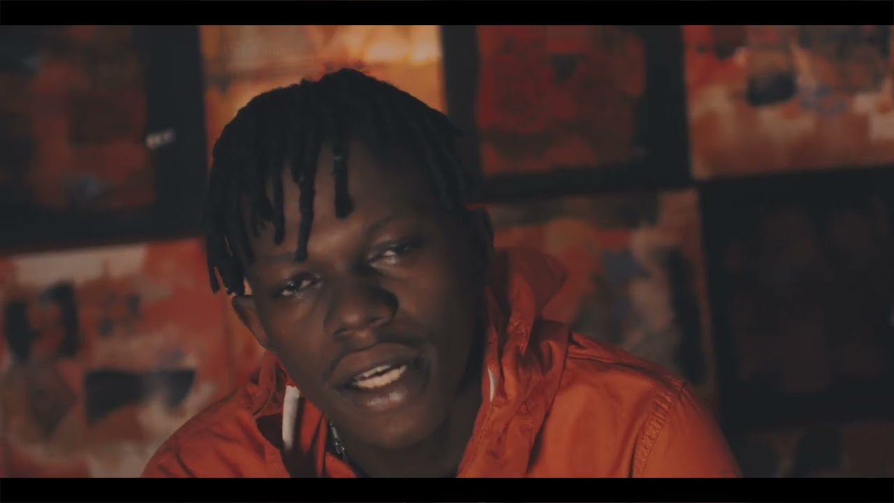Lil Zed :BREF (clip officiel)