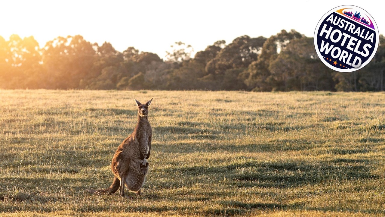 Forest Rise Chalets and Lodge | Margaret River, Australia | Hotel Review 🏨