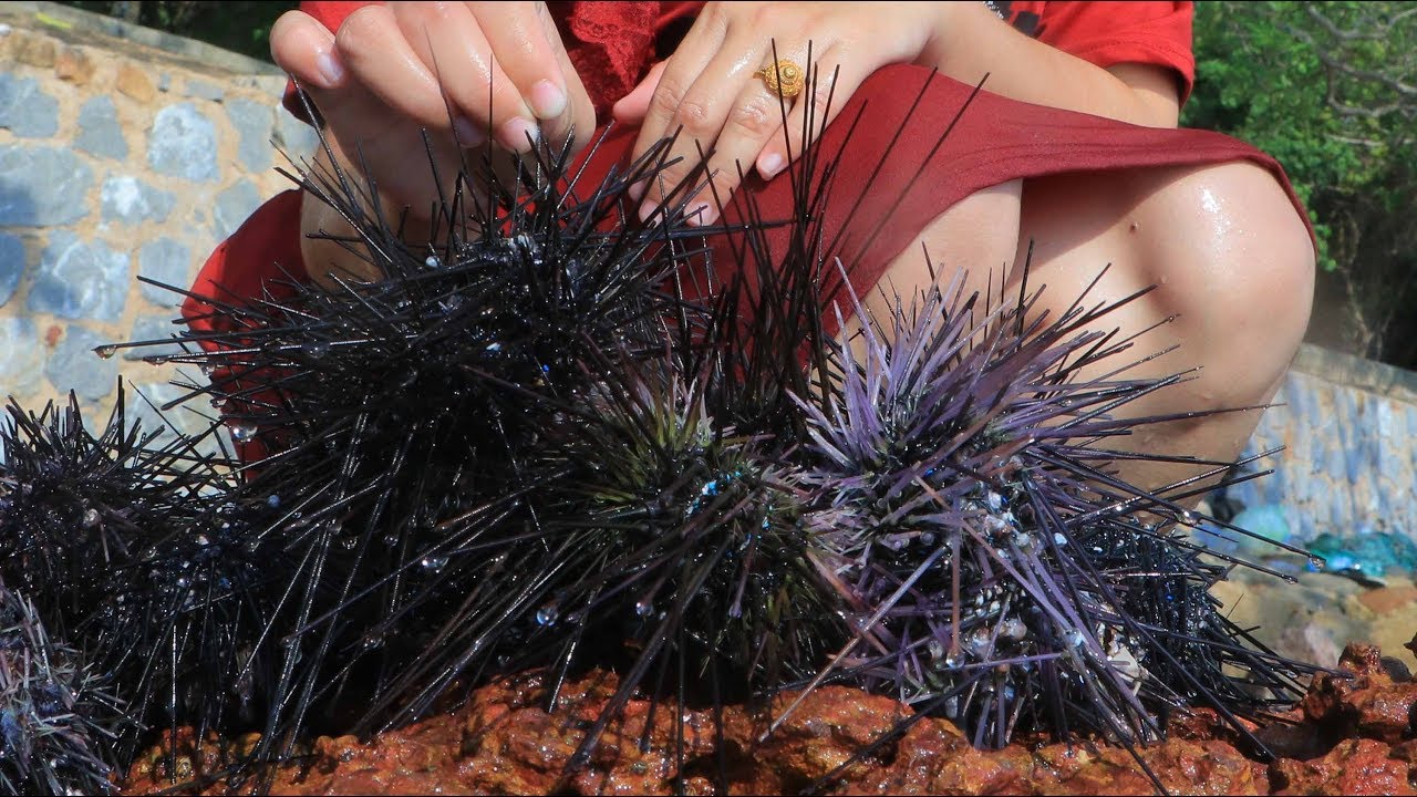 Yummy Urchin Grilling Recipe - Urchin Cooking - Cooking With Sros