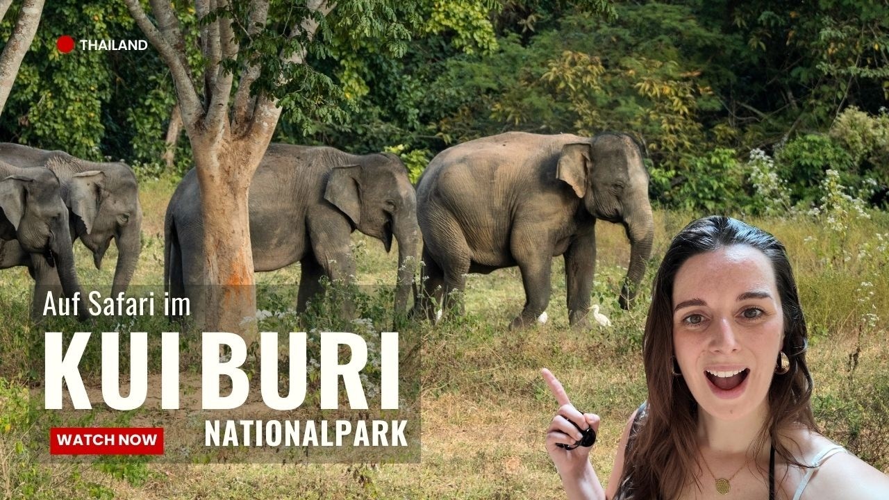 Wir sehen WILDE ELEFANTEN! Kui Buri Nationalpark & Phraya Nakhon Cave Khao Sam Roi Yot NP | Thailand