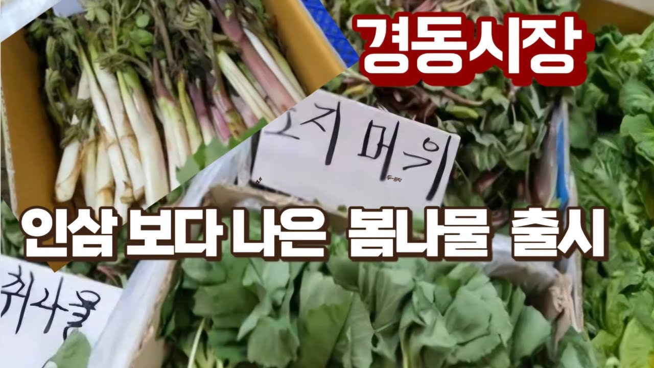 제철 보약같은  봄나물  출시 /딸기 가격 기가 막히다.