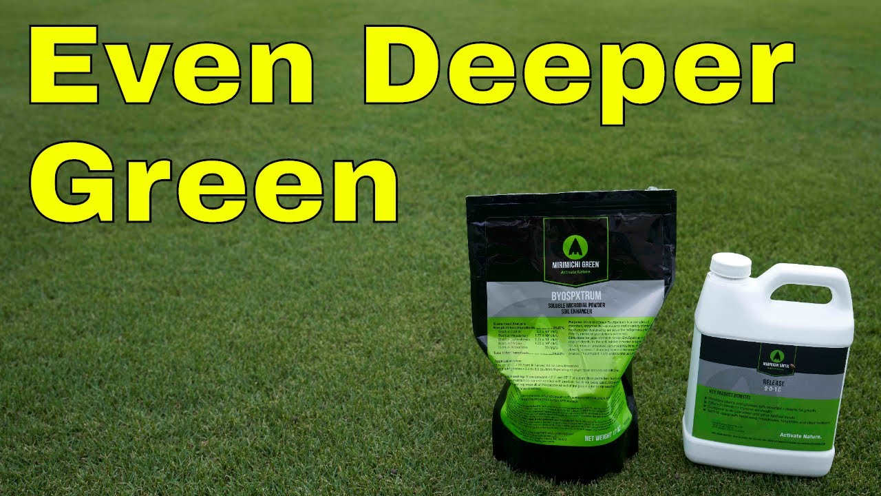 Mirimichi Green 9-0-1 C and ByoSpxtrum - [CHASING That DEEPER GREEN]