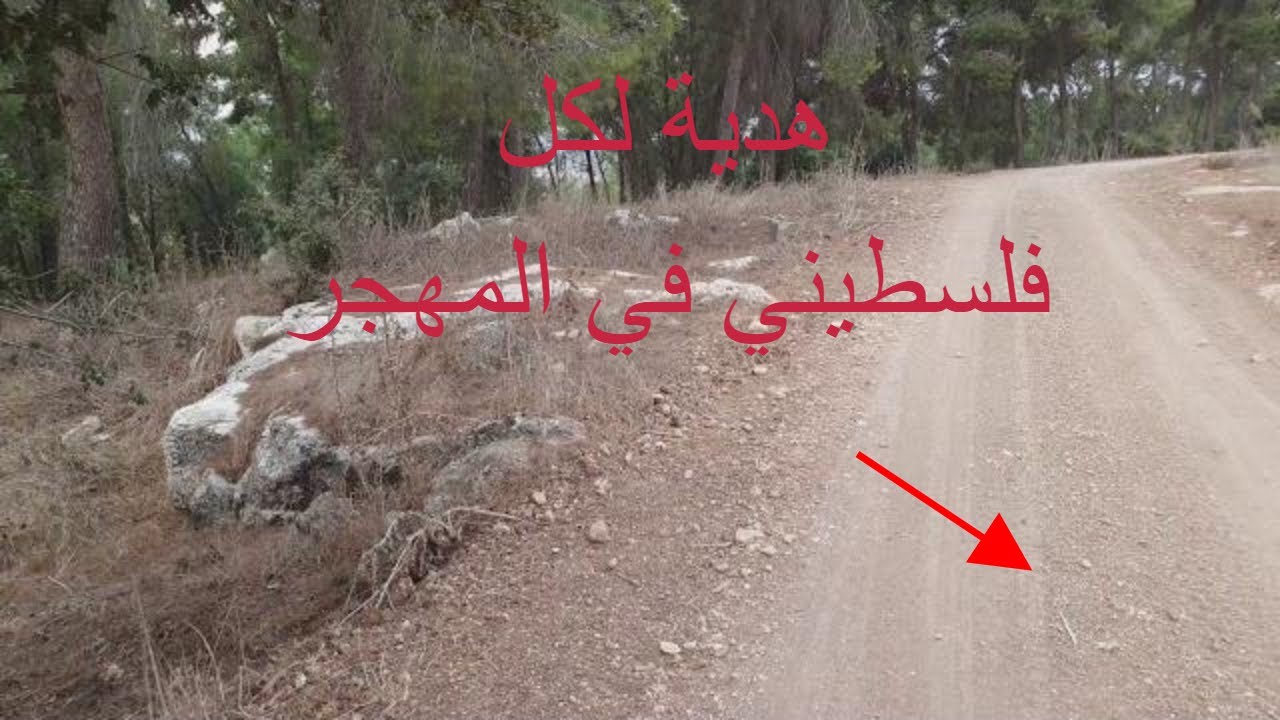 قرية لوبية المهجرة 2019 lubya