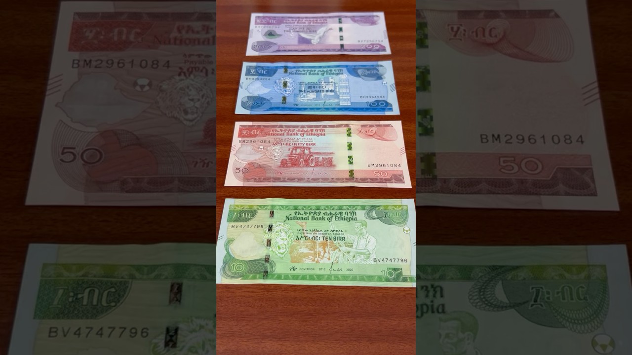 Ethiopia&rsquo;s Full set Banknotes #ethiopia #currency #banknotes #ytshorts