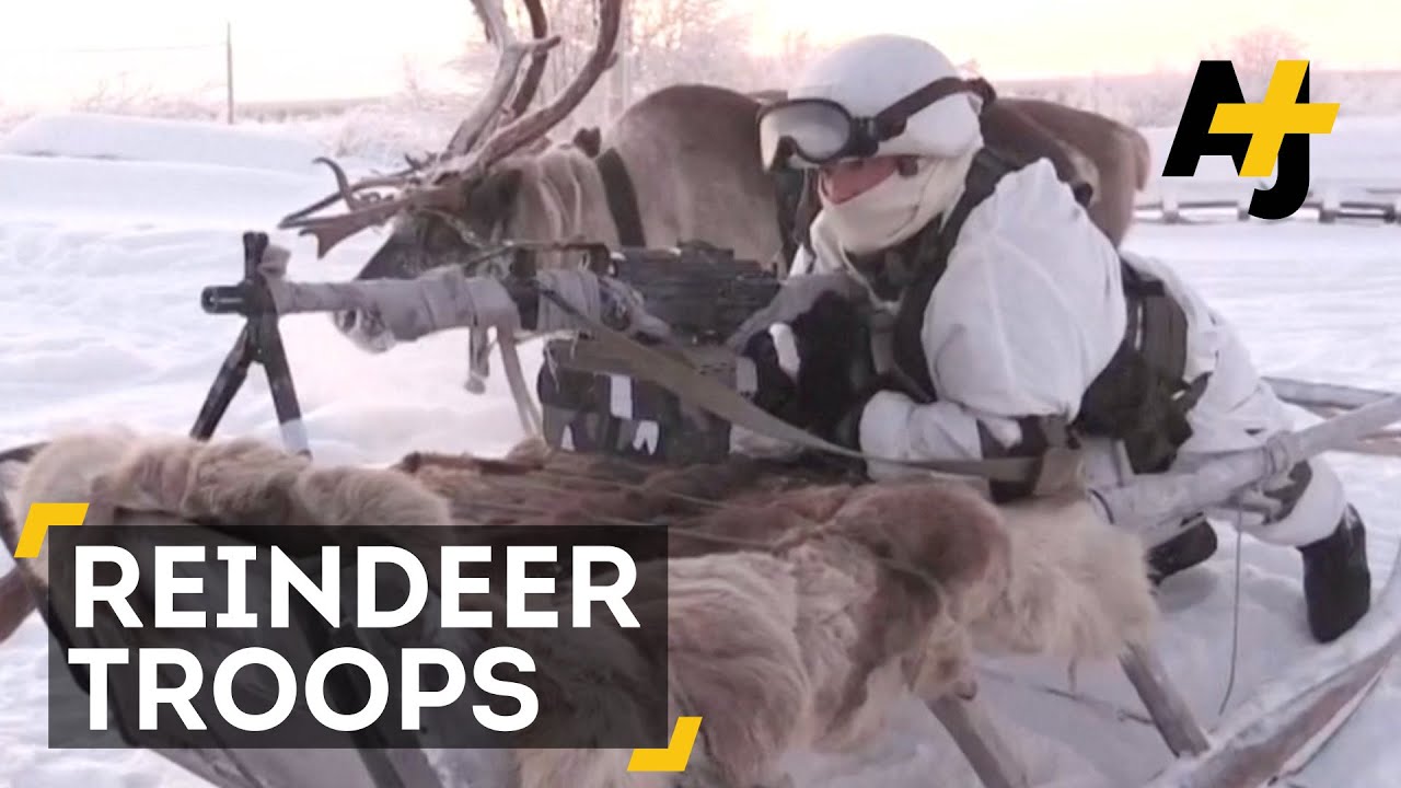 Russian Army Unit Uses Reindeer And Huskies In The Arctic