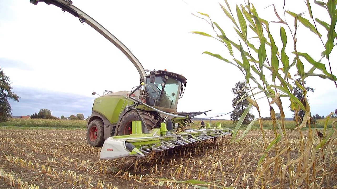 CLAAS Jaguar 970 mit 12- Reiher Orbis- Vorsatz mal 