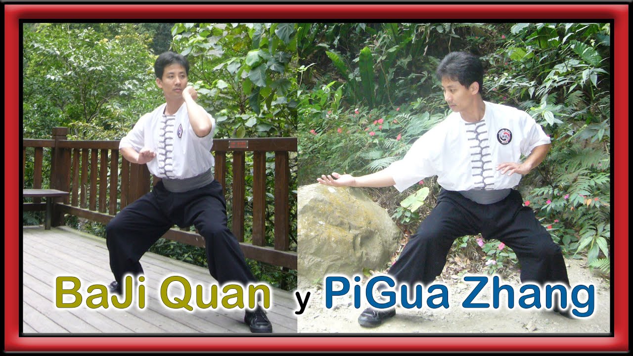 BaJi Quan y PiGua Zhang