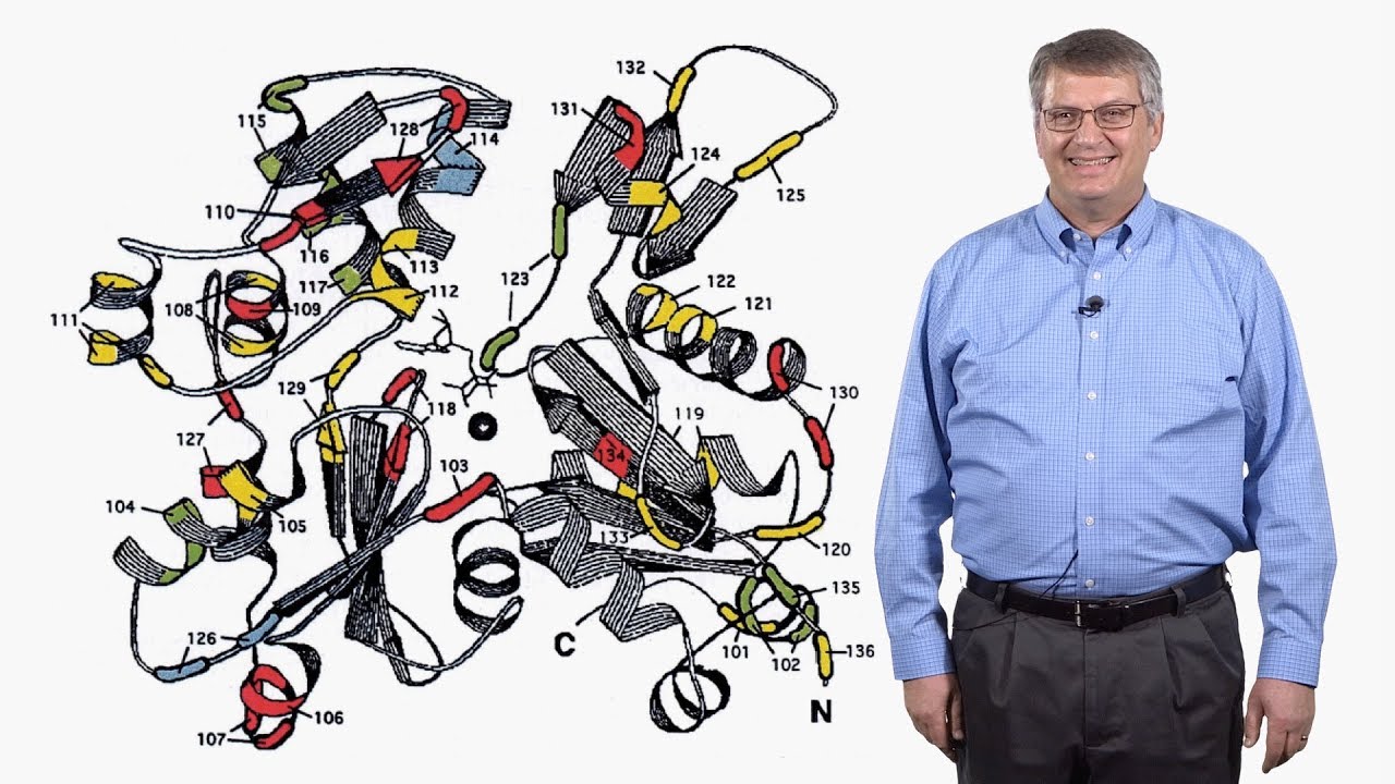 David Drubin (UC Berkeley) 1: Actin, endocytosis and the early days of yeast cell biology