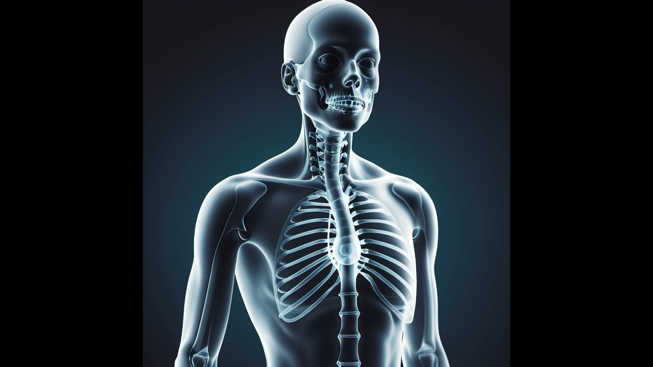 ELIXR: A Multimodal Chest X-Ray AI System - a conversation