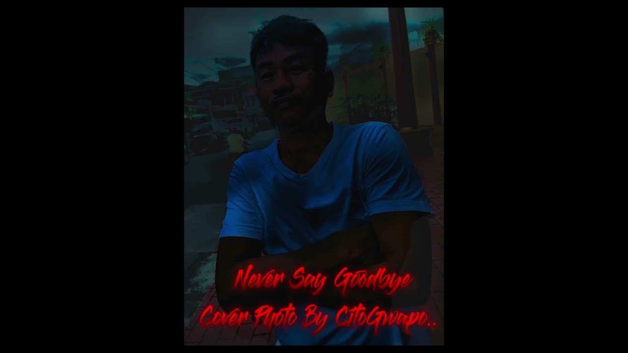 Never Say Goodbye Cover Photo By CitoGwapo