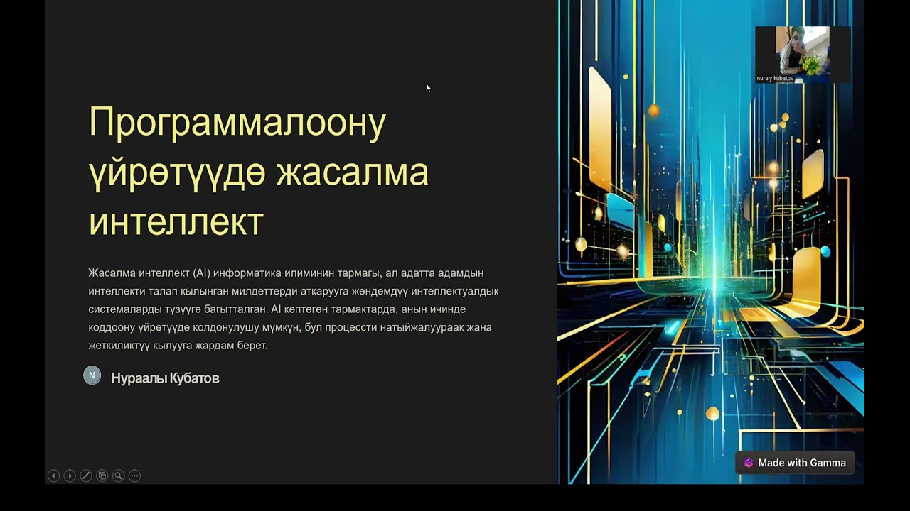 ЖИни программалоодо колдонуу
