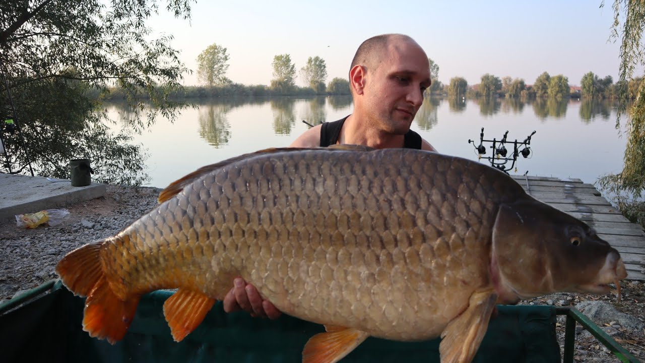 Pecanje sarana i druzenje na jezeru Mika Alas  26.10.2019