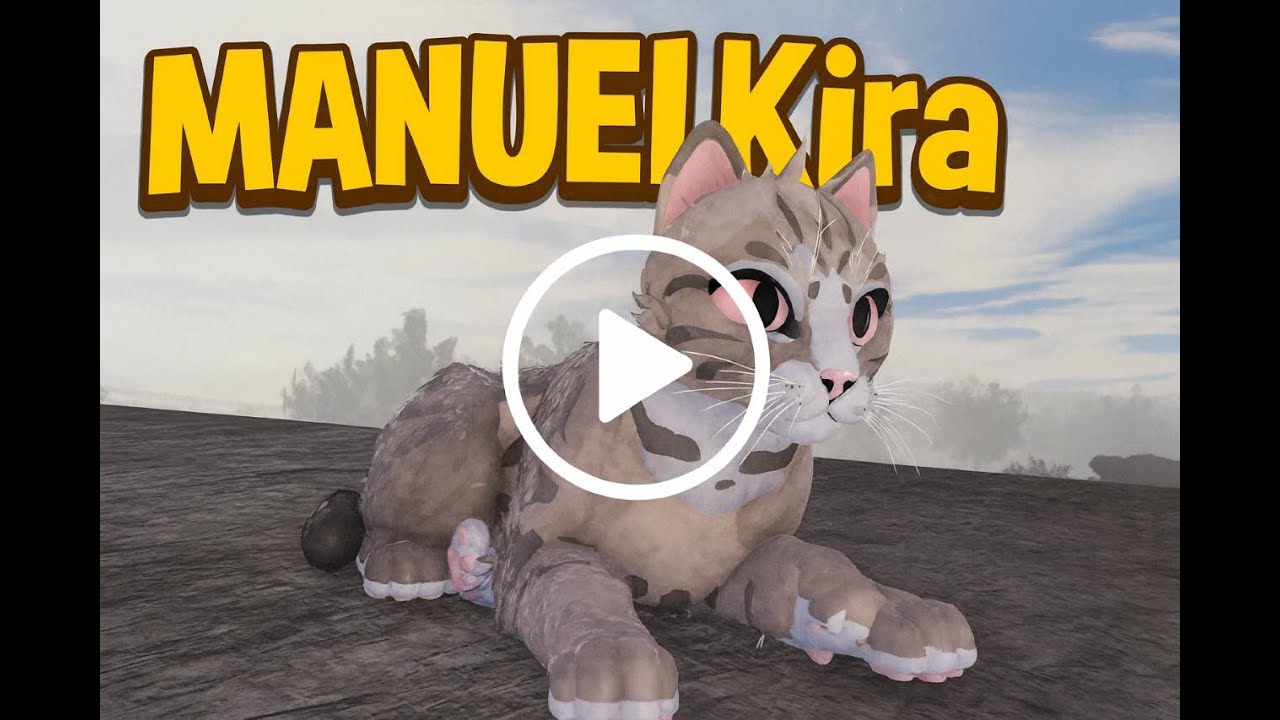 HISTORIA DE GATITOS