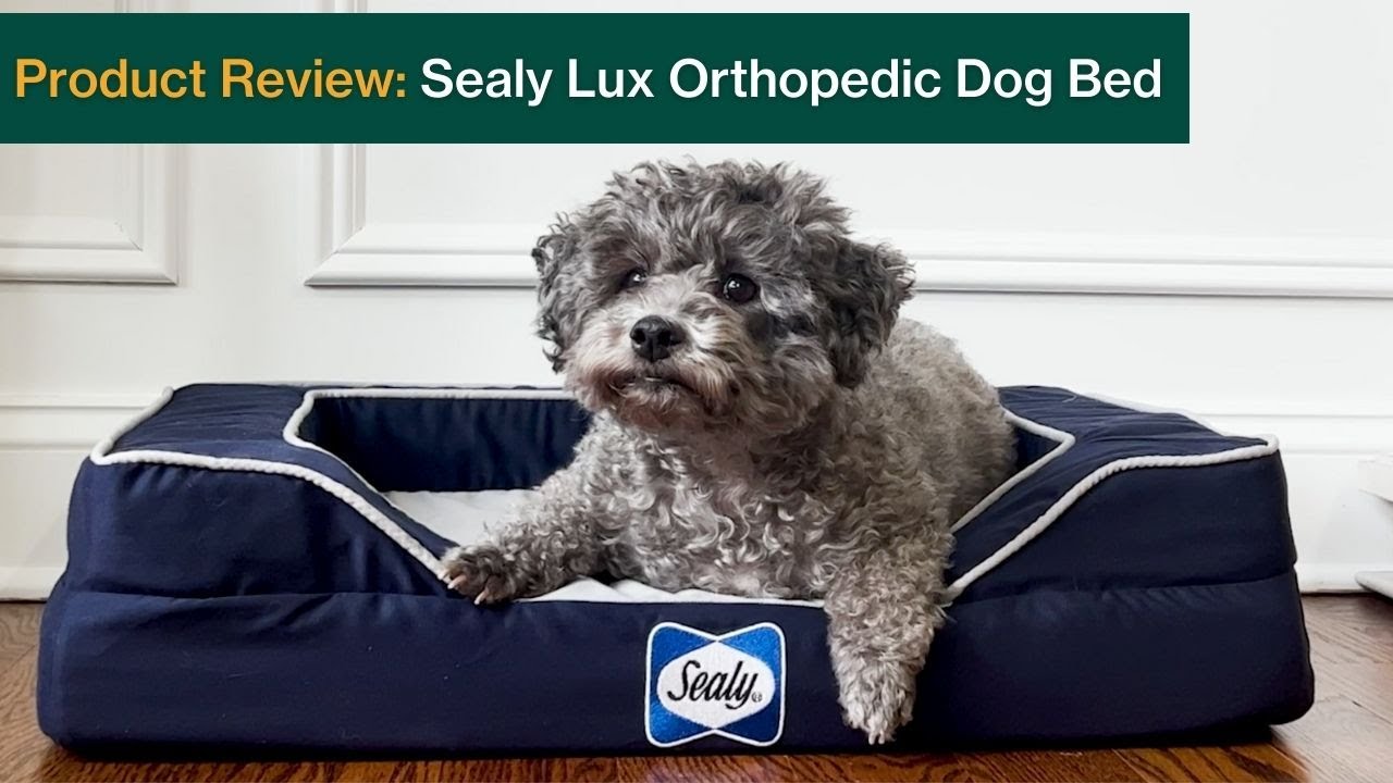 Sealy Lux Orthopedic Dog Bed Review (With Cooling Technology)