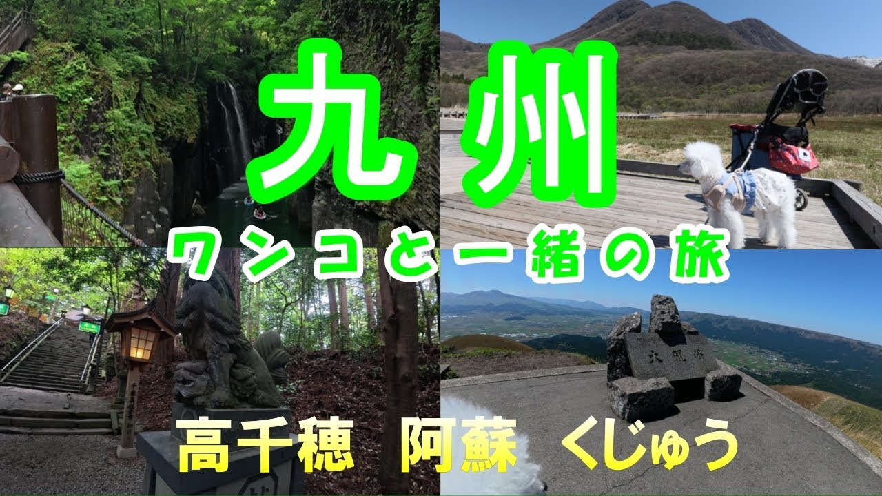 【ワンコと一緒の旅】九州の高千穂 阿蘇 くじゅうをドライブ