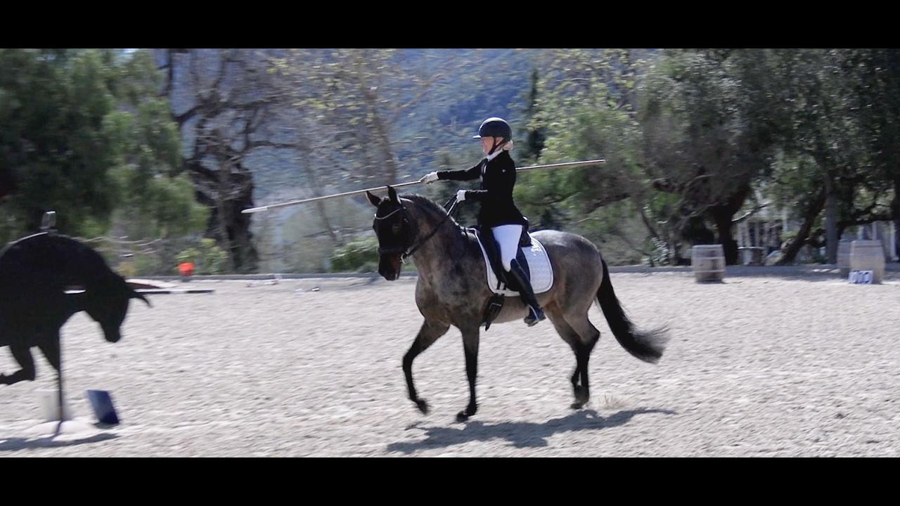 Stephanie Gustafson (Corazana) - ECFWE Buckle Series 1 & 2 February 2026 - Level 2 - Novice A - EOH