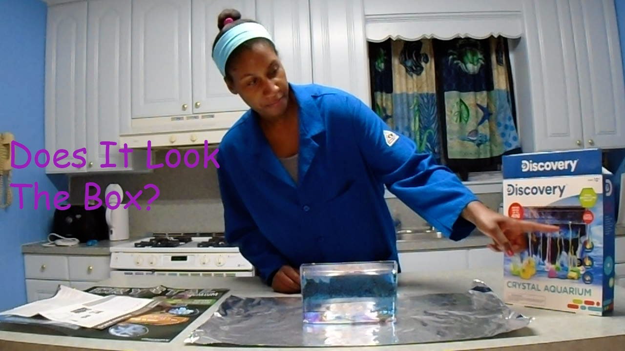 S1 E16 Discovery Crystal Aquarium Review