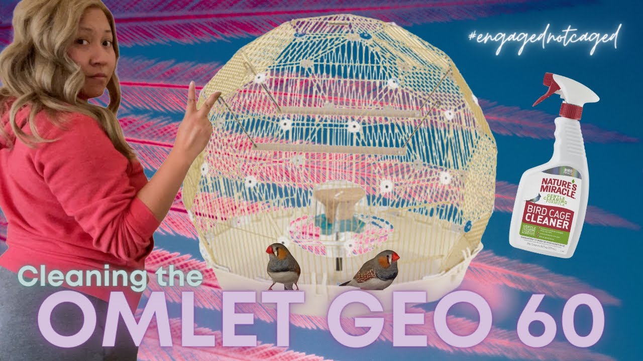 Cleaning the Omlet Geo 60 | #howto #omlet #omletgeo60